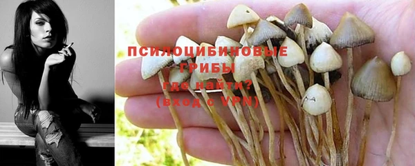 кокс Инсар