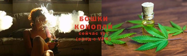 молекула духа Иннополис