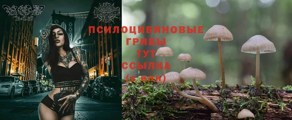 кокс Инсар