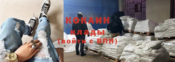 кокс Инсар